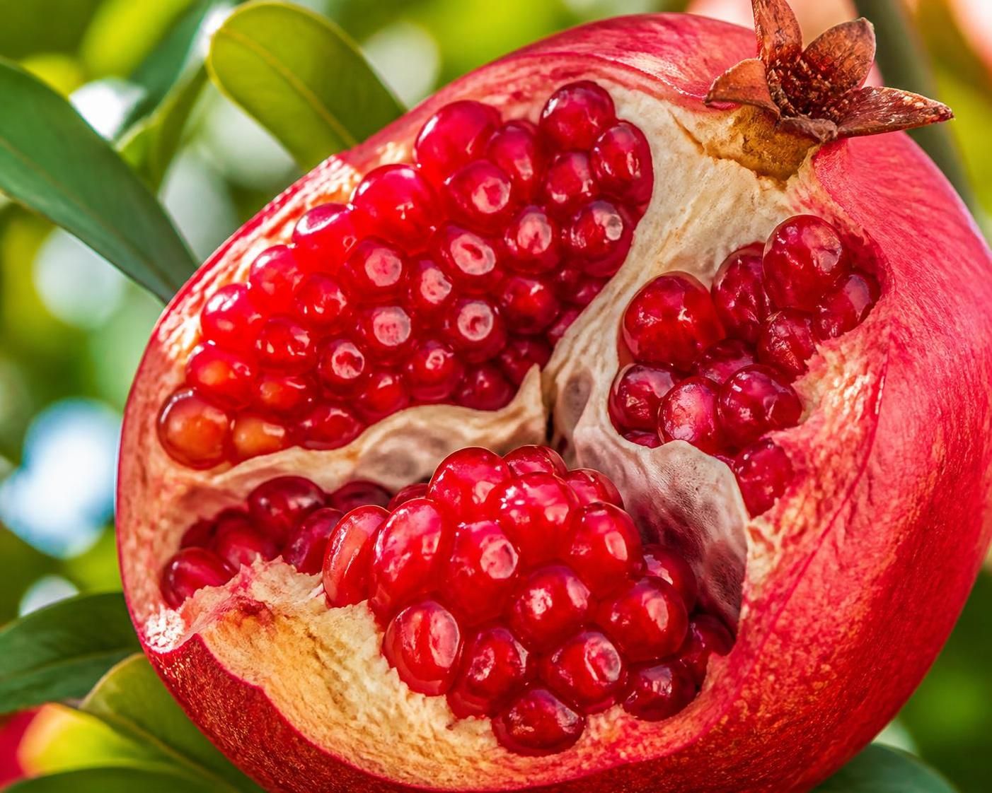 découvrez les bienfaits insoupçonnés du fruit grenade pour améliorer votre santé au quotidien grâce à ses propriétés antioxydantes, ses vitamines et ses effets revitalisants.